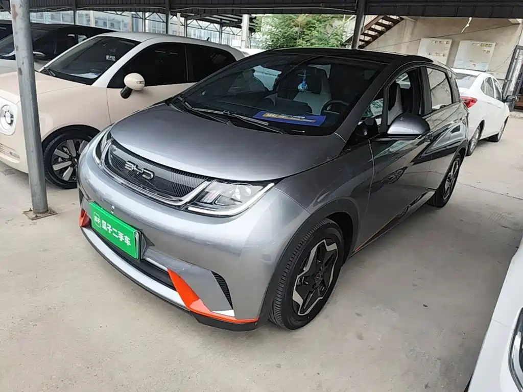 BYD Dolphin 2021