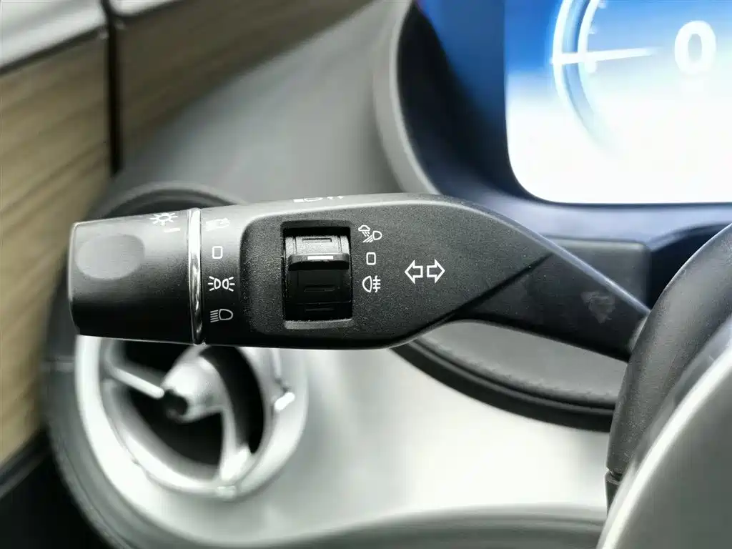 Denza X 2020 PHEV Classic Edition фото 21