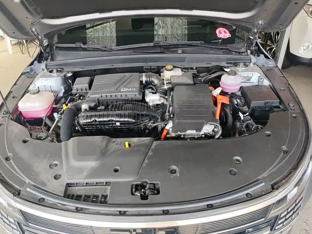 BYD Destroyer 05 2025 2024 Glory Edition DM-i 55KM Luxury