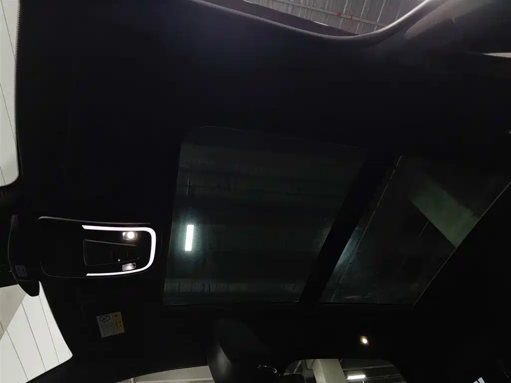 Denza X 2020 PHEV Sport Edition фото 14