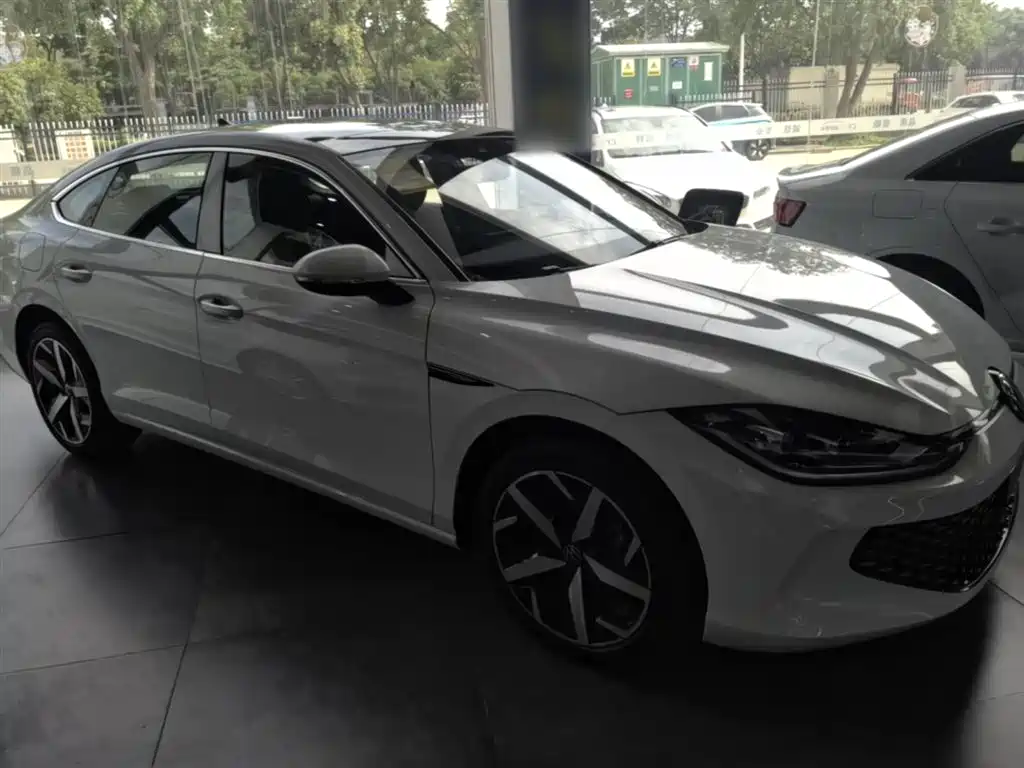 VOLKSWAGEN LINGDU
