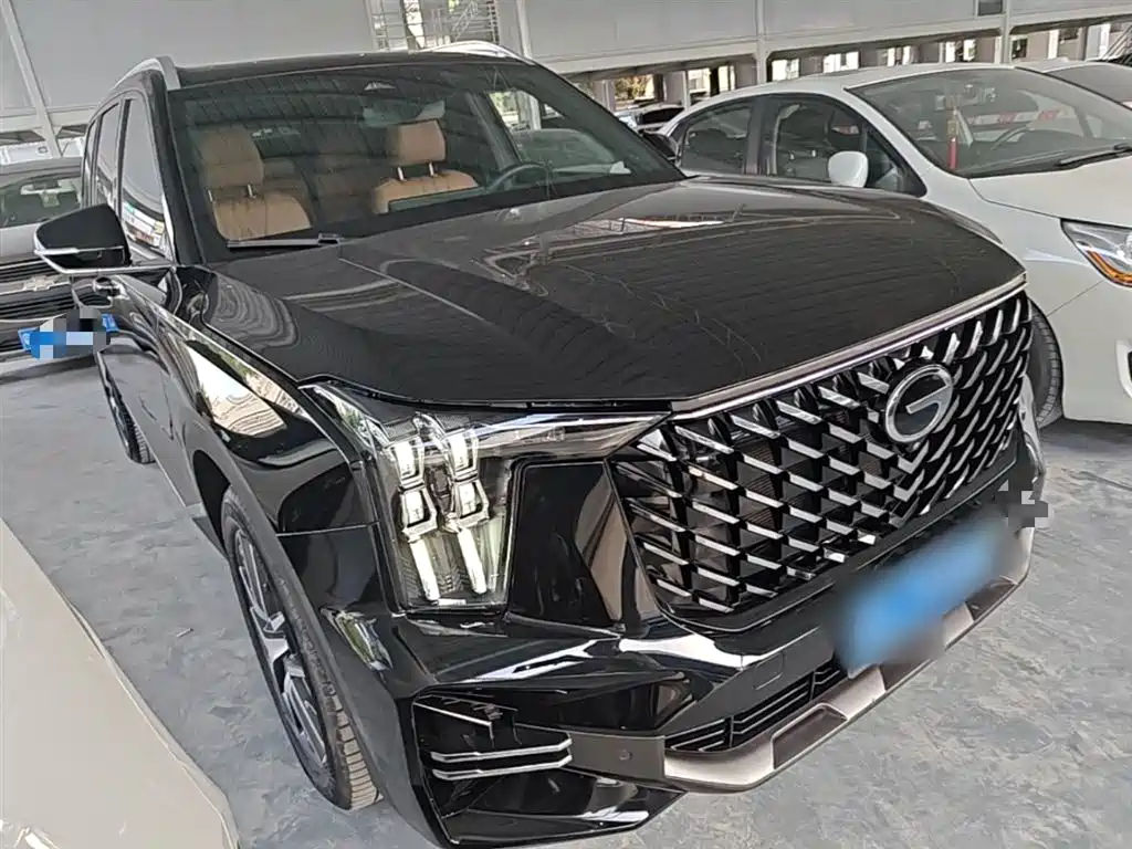 GAC Trumpchi Trumpchi GS8 2024 Navigator Series 2.0TGDI 2WD Luxury Smart Connect Edition фото 4