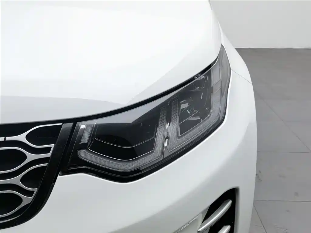 Land Rover Discovery Sport 2024 Luxury Custom Edition фото 7