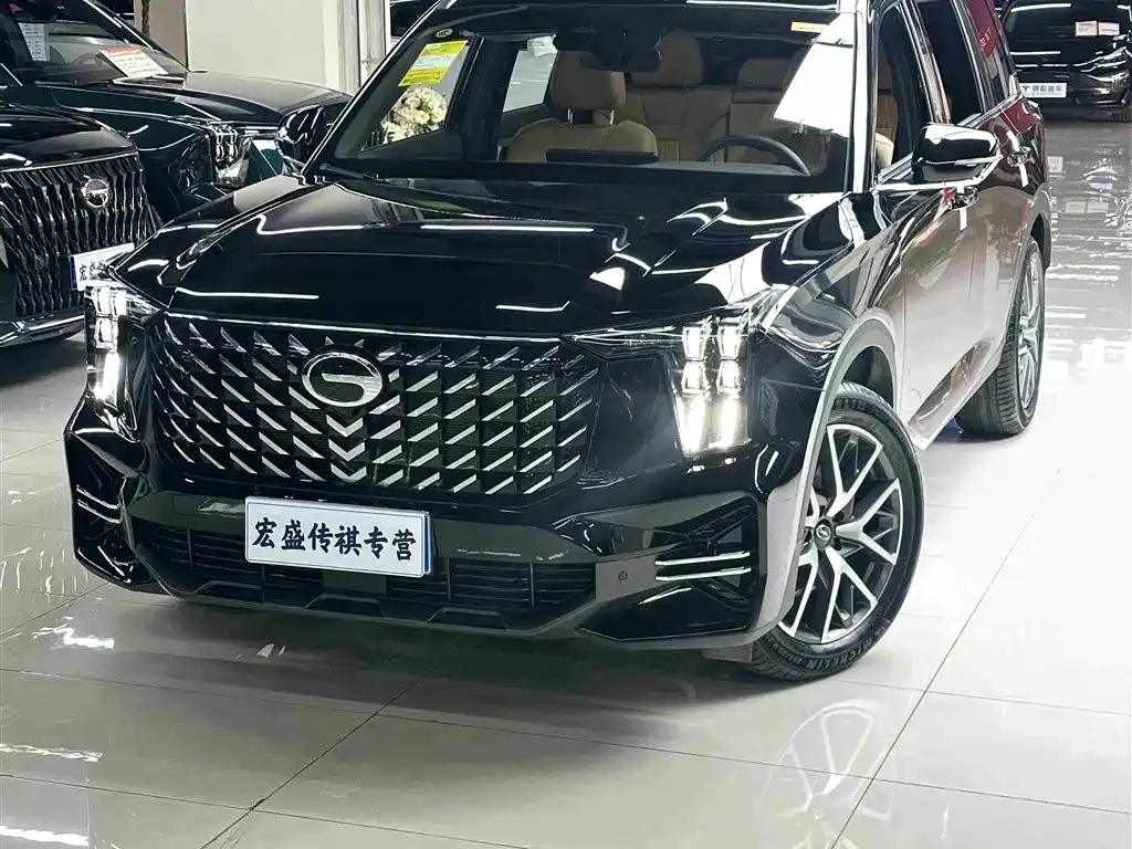 GAC Trumpchi Trumpchi GS8 2025 Pilot Series 2.0TGDI 2WD Luxury Edition 5-seater