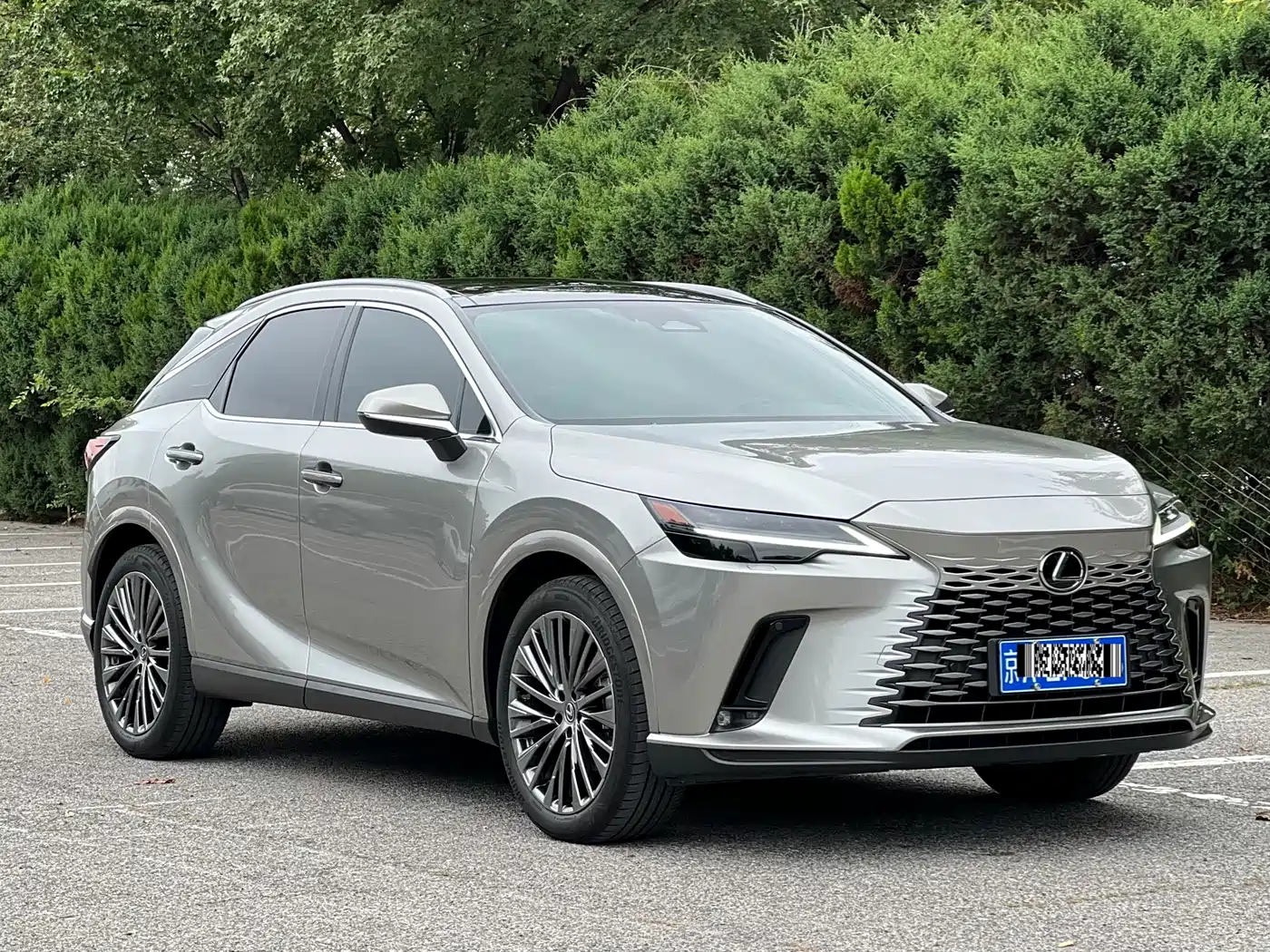 2025 Lexus RX