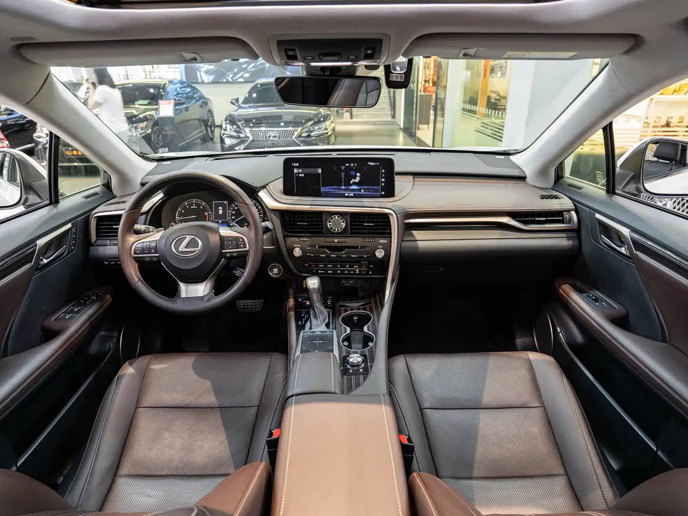 Lexus RX 2021 300 AWD Special Edition фото 13