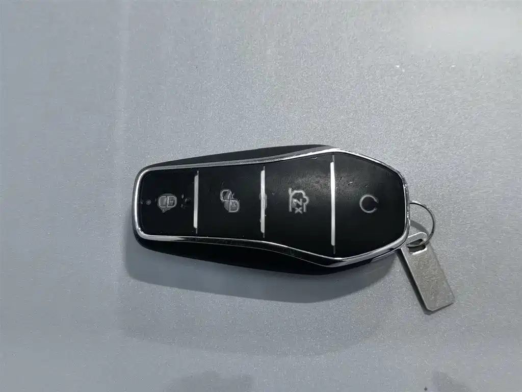 BYD Qin PLUS 2025 DM-i Smart Drive 55KM Leader фото 19