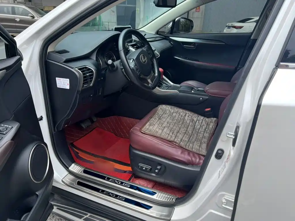 Фото 10 - Lexus NX