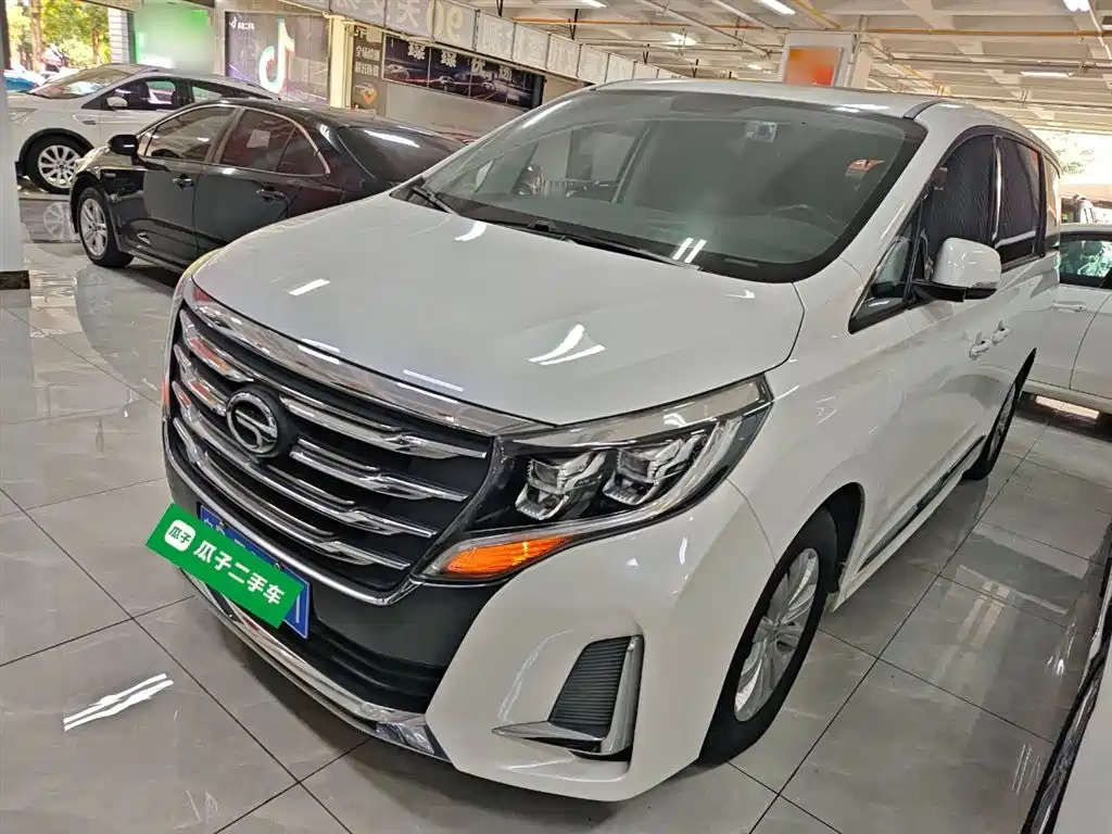 GAC Trumpchi Trumpchi M8 2020 Pilot 390T Premium Edition фото 2