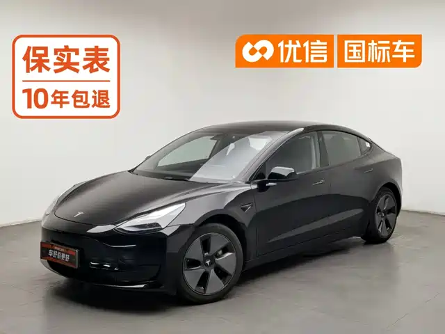  Tesla Model 3 2022 Model Rear-Wheel Drive Version