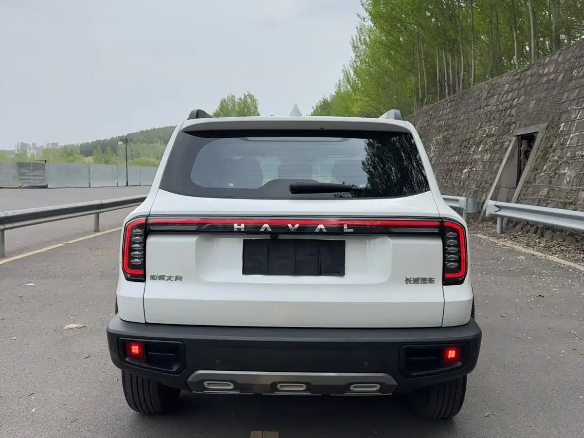 Haval Big Dog 2024 Model 1.5T DCT Labrador Edition фото 8