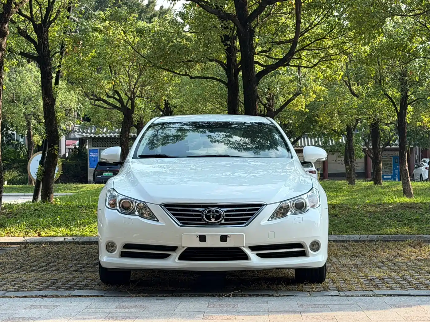 Toyota Reiz 2008 2.5S Special Navigation Edition фото 2