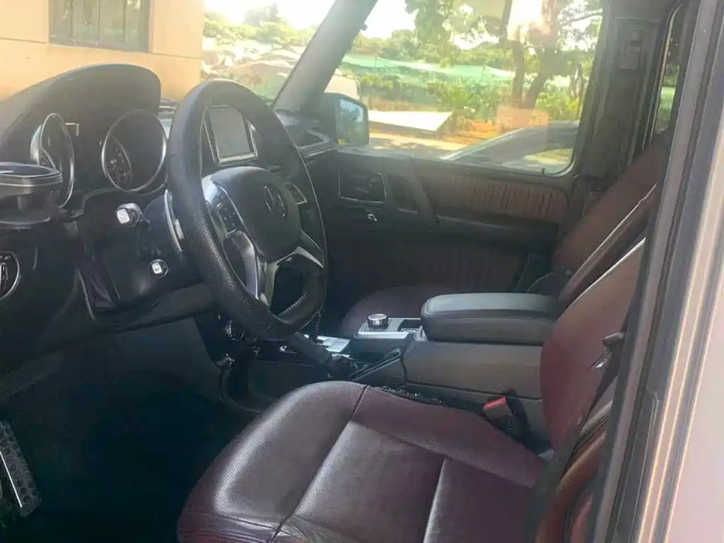 Mercedes-Benz G-Class 2016 G 500 фото 5