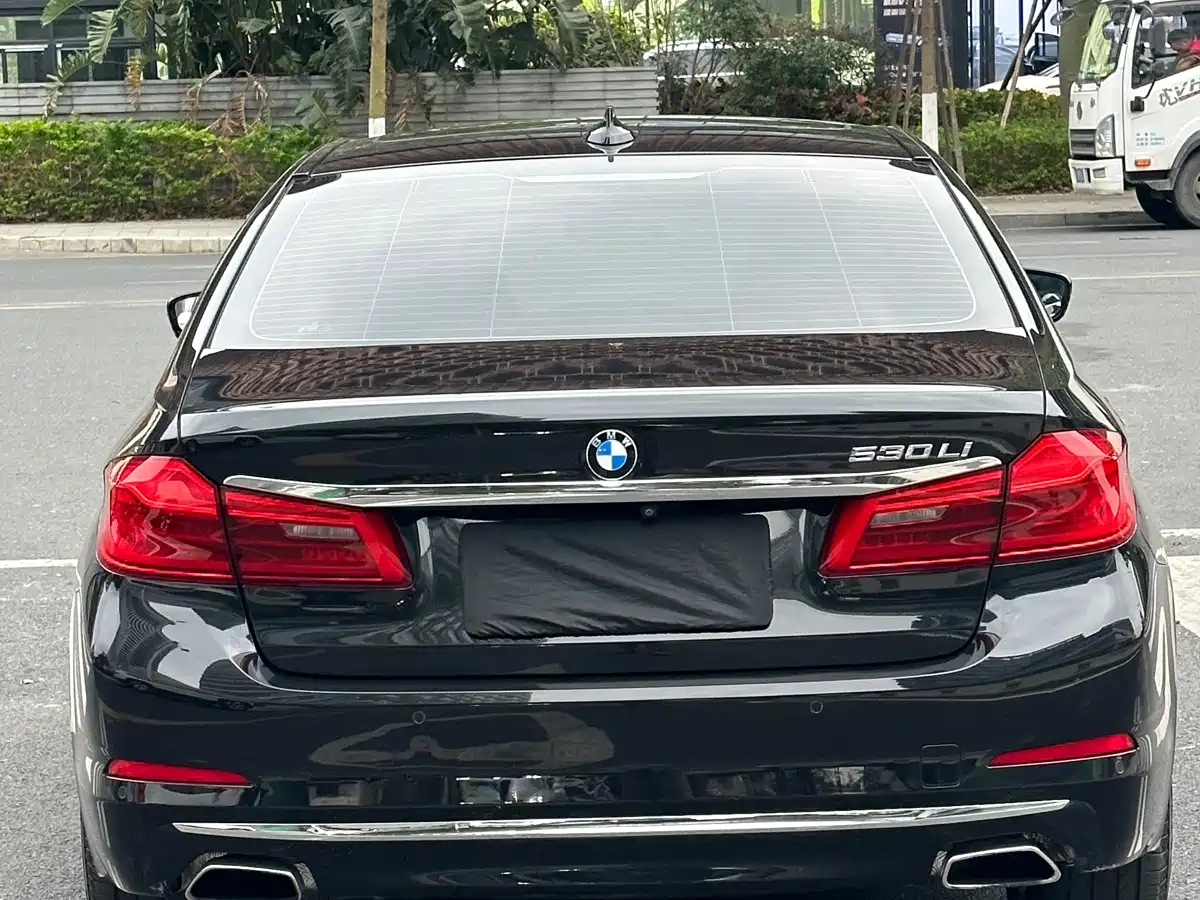 BMW 5 Series 2020 530Li Leading Luxury Package фото 24