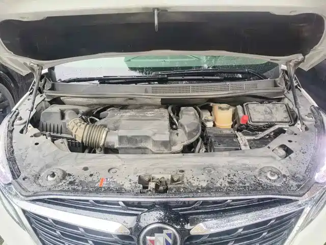 Buick GL8 2021 ES Landlord 653T Premium — фото 3