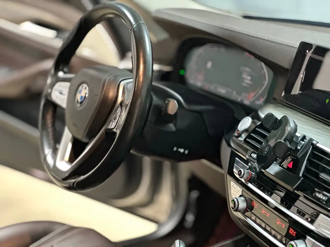 BMW 5 Series 2020 530Li Leading Luxury Package фото 5