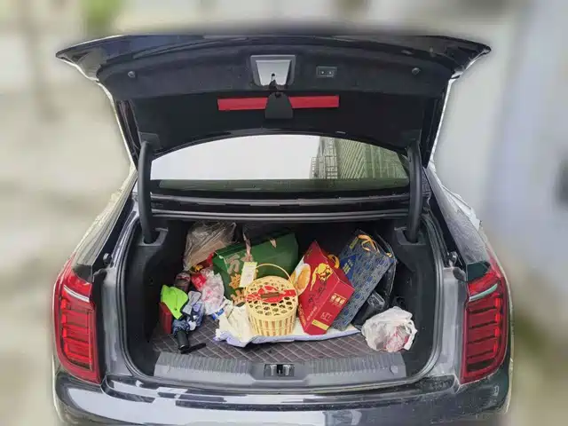 Hongqi H9 2020 3.0T Smart Connection Qi Chang Edition — фото 5
