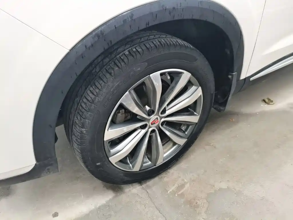 Roewe RX5 MAX 2021 2019 300TGI Auto Intelligent Driving Health Cabin Edition
