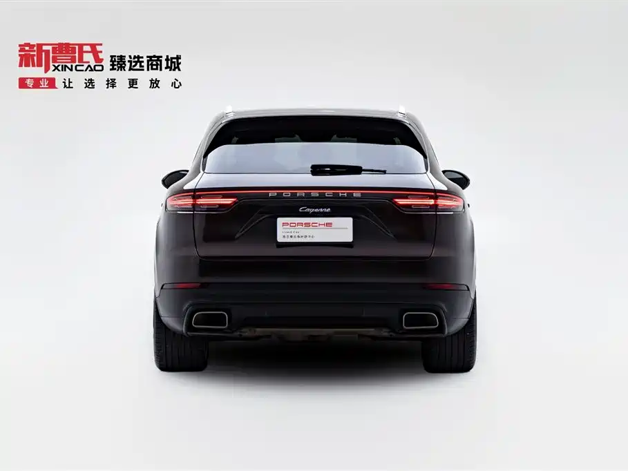 Porsche Cayenne 2022 Cayenne 3.0T Platinum Edition фото 4