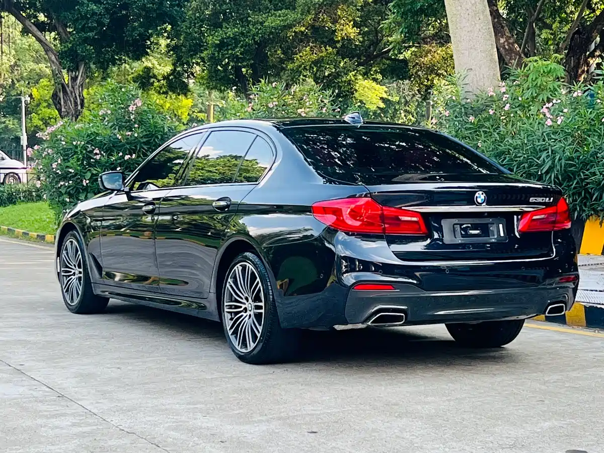 BMW 5 Series 2018 Facelift 530Li Exclusive M Sport Package фото 5