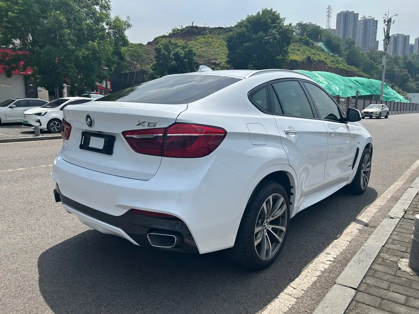 BMW X6