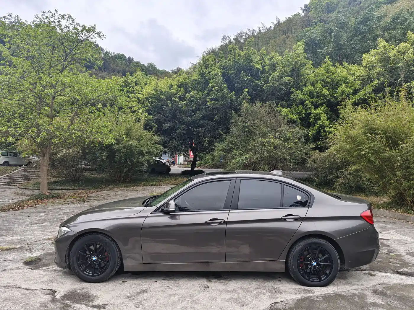 BMW 3 Series 2013 316i Progressive фото 4