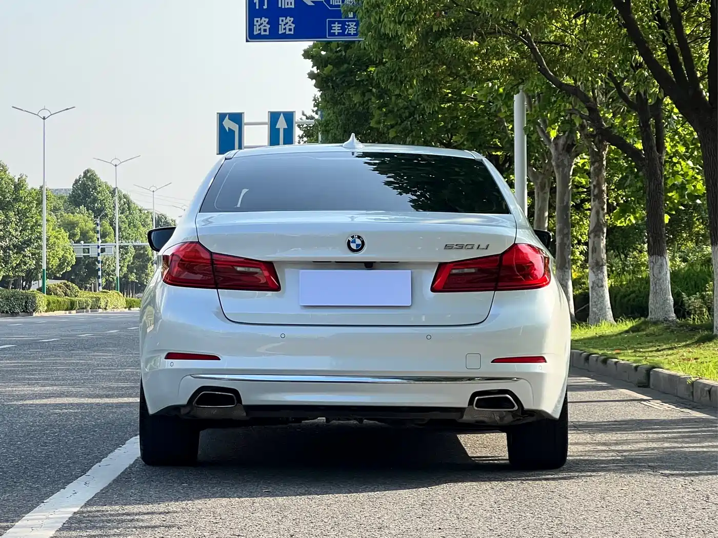 BMW 5 Series 2019 530Li Leading Luxury Package фото 4