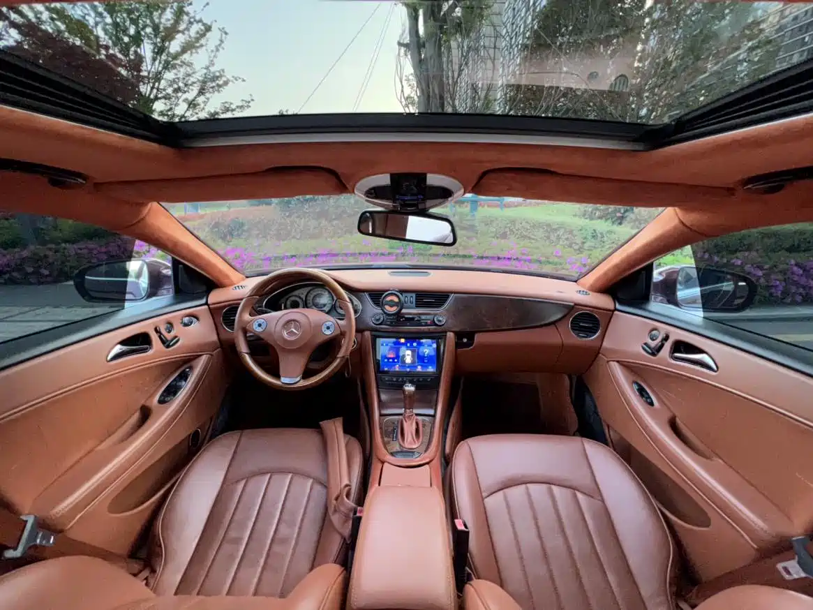 Mercedes-Benz CLS 2009 CLS 300 фото 6
