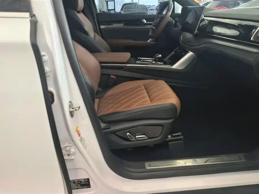 BYD Tang New Energy 2021 DM-i 112KM Premium фото 8