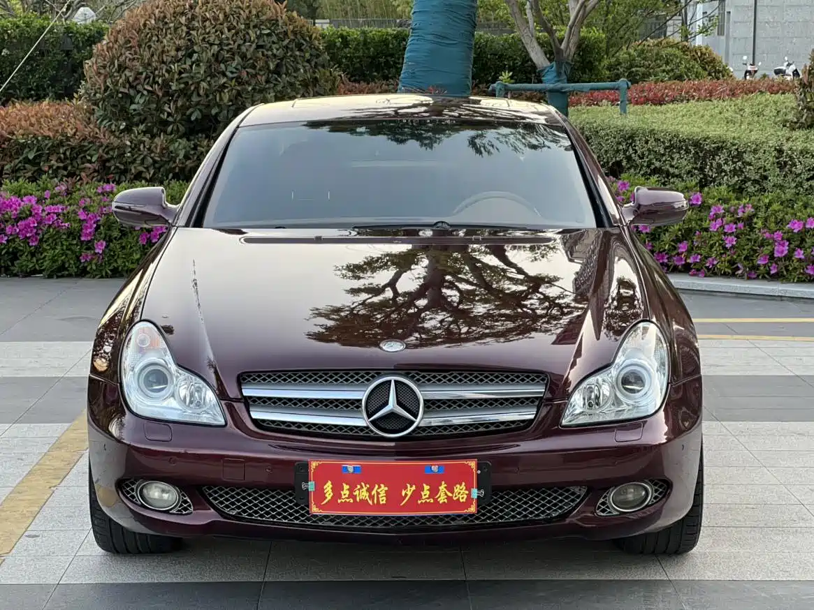 Mercedes-Benz CLS 2009 CLS 300 фото 2