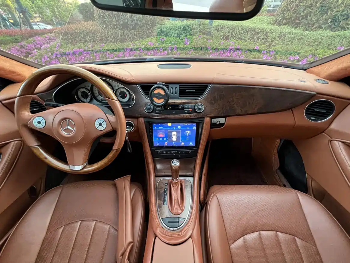Mercedes-Benz CLS 2009 CLS 300 фото 8