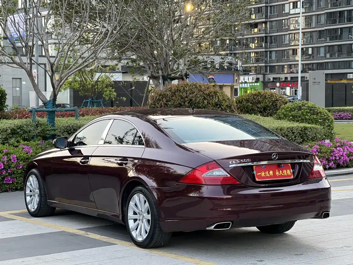 Mercedes-Benz CLS 2009 CLS 300 фото 16