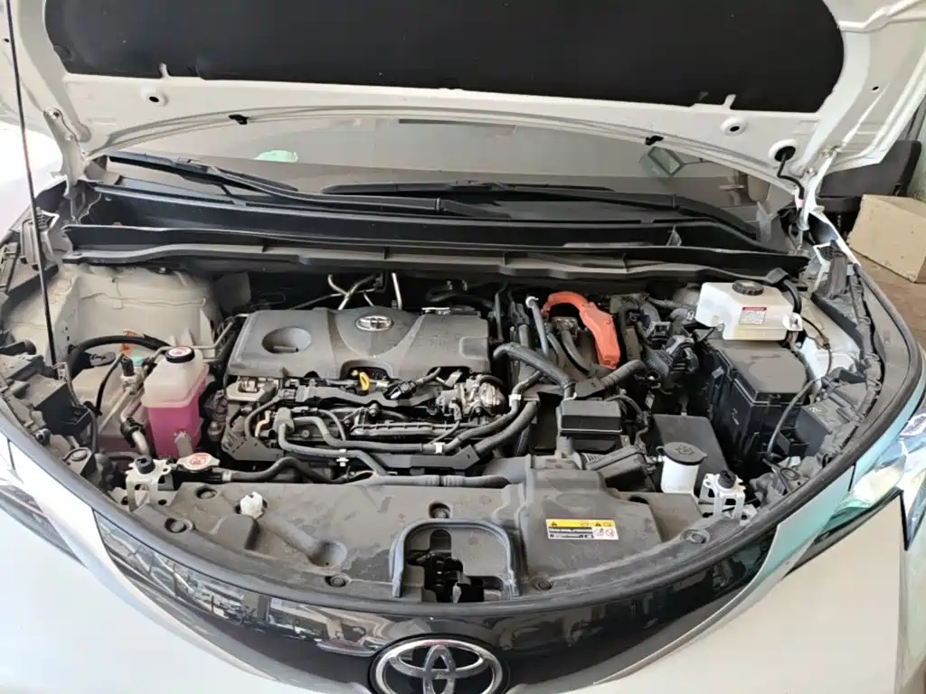 Toyota Sienna 2025 2024 2.5L Hybrid 4WD Premium Edition