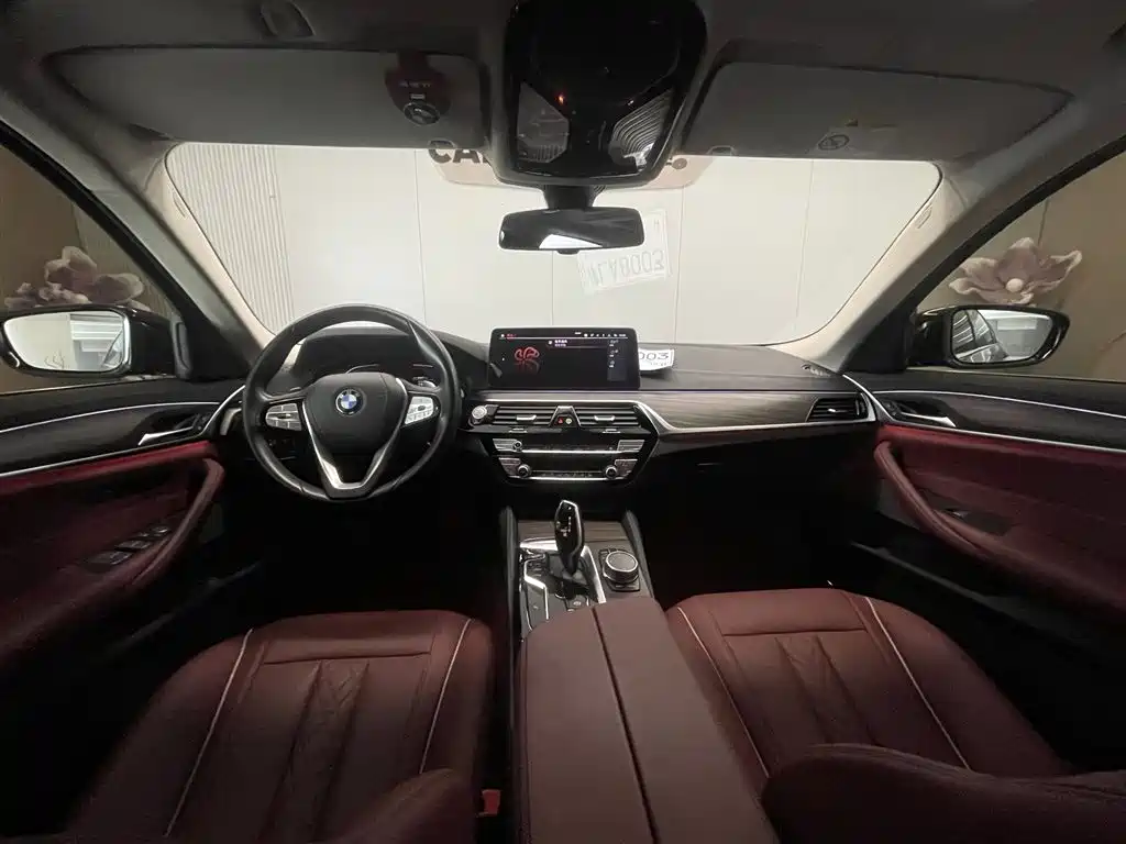 BMW 5 Series 2021 530Li xDrive Luxury Package фото 12