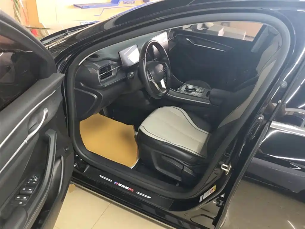 BYD Destroyer 05 2024 Glory Edition DM-i 55KM Luxury фото 16