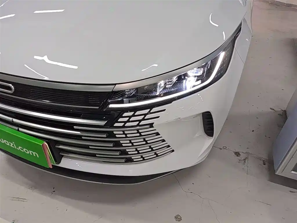 BYD Destroyer 05 2024 Glory Edition DM-i 55KM Luxury фото 24