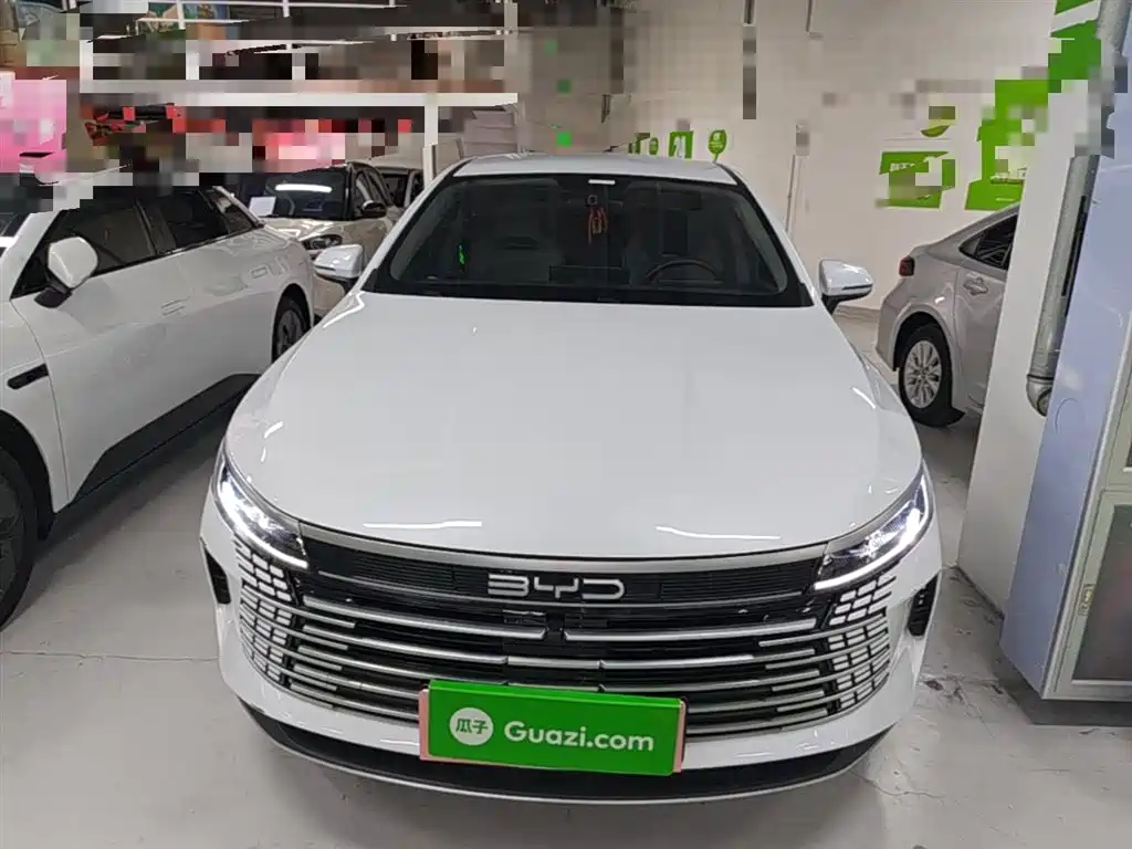 BYD Destroyer 05 2024 Glory Edition DM-i 55KM Luxury фото 3