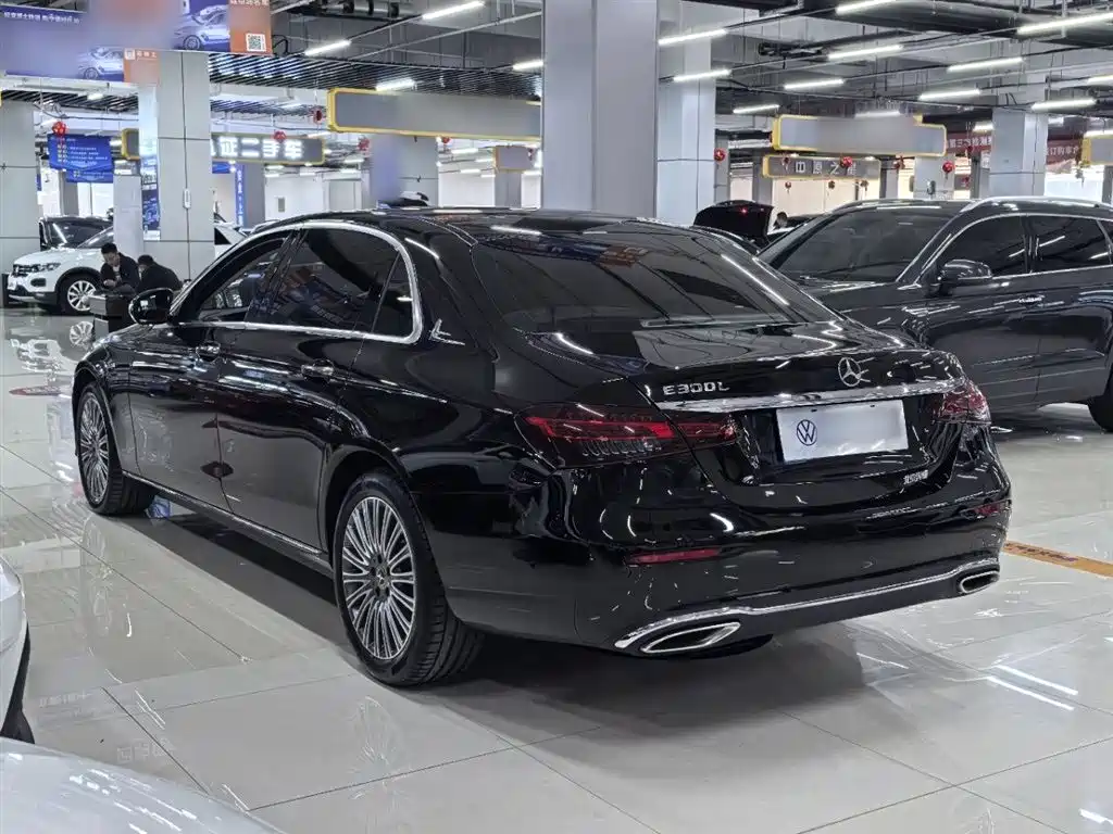 Mercedes-Benz E-Class 2023 E 300 L Luxury фото 11