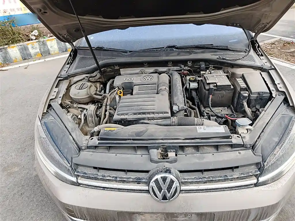 Volkswagen Golf 2018 230TSI Automatic Luxury фото 16