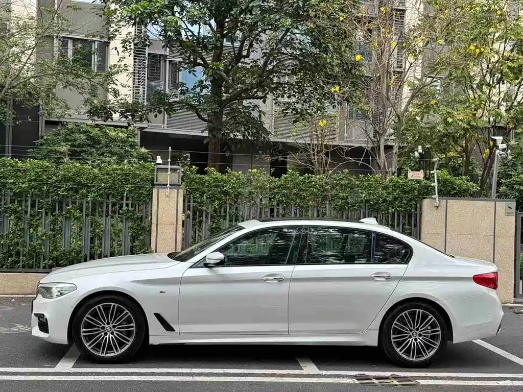 BMW 5 Series 2018 530Li Leading M Sport Package фото 2