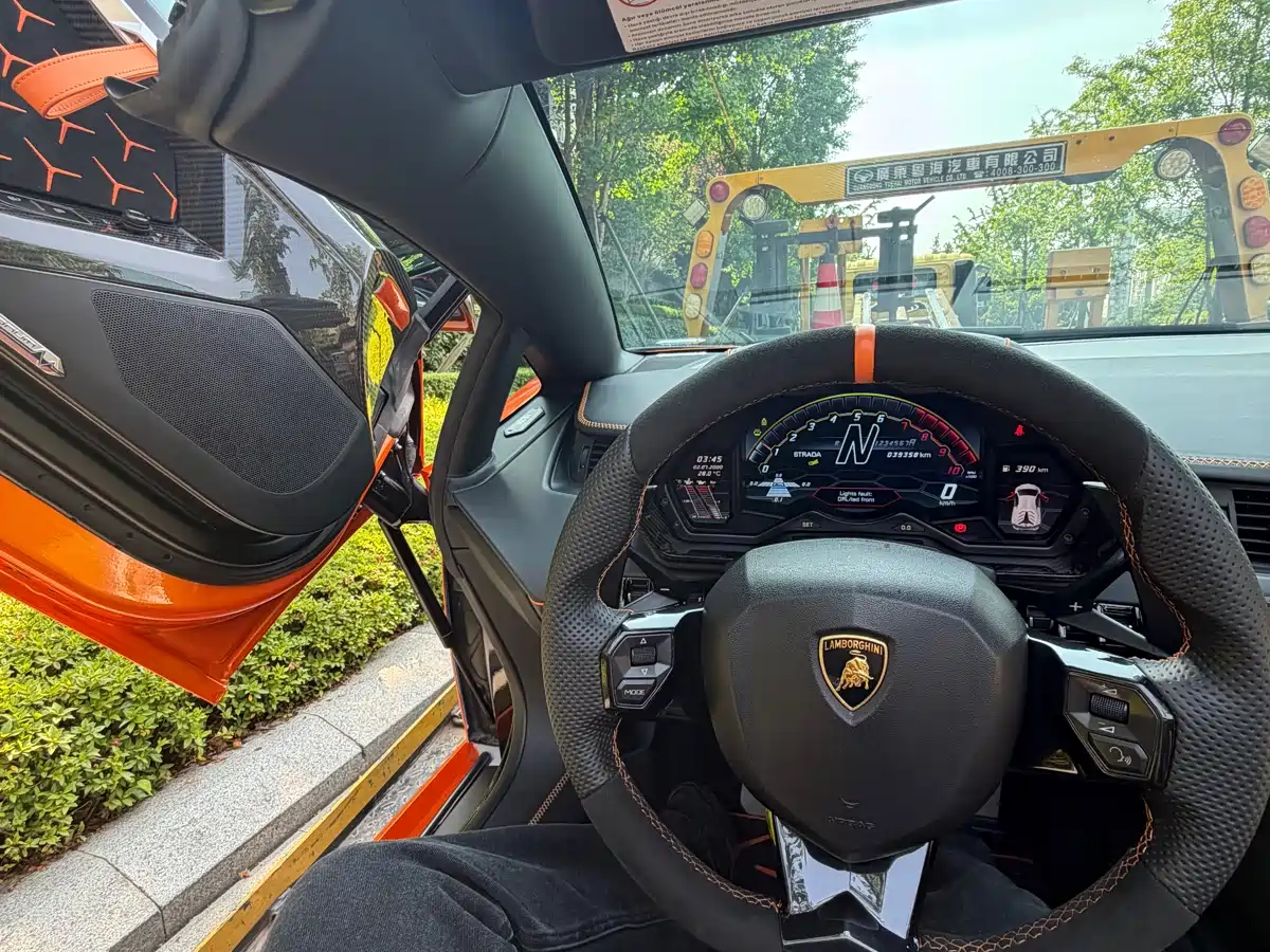 Lamborghini Aventador 2013 LP 700-4 Roadster фото 8