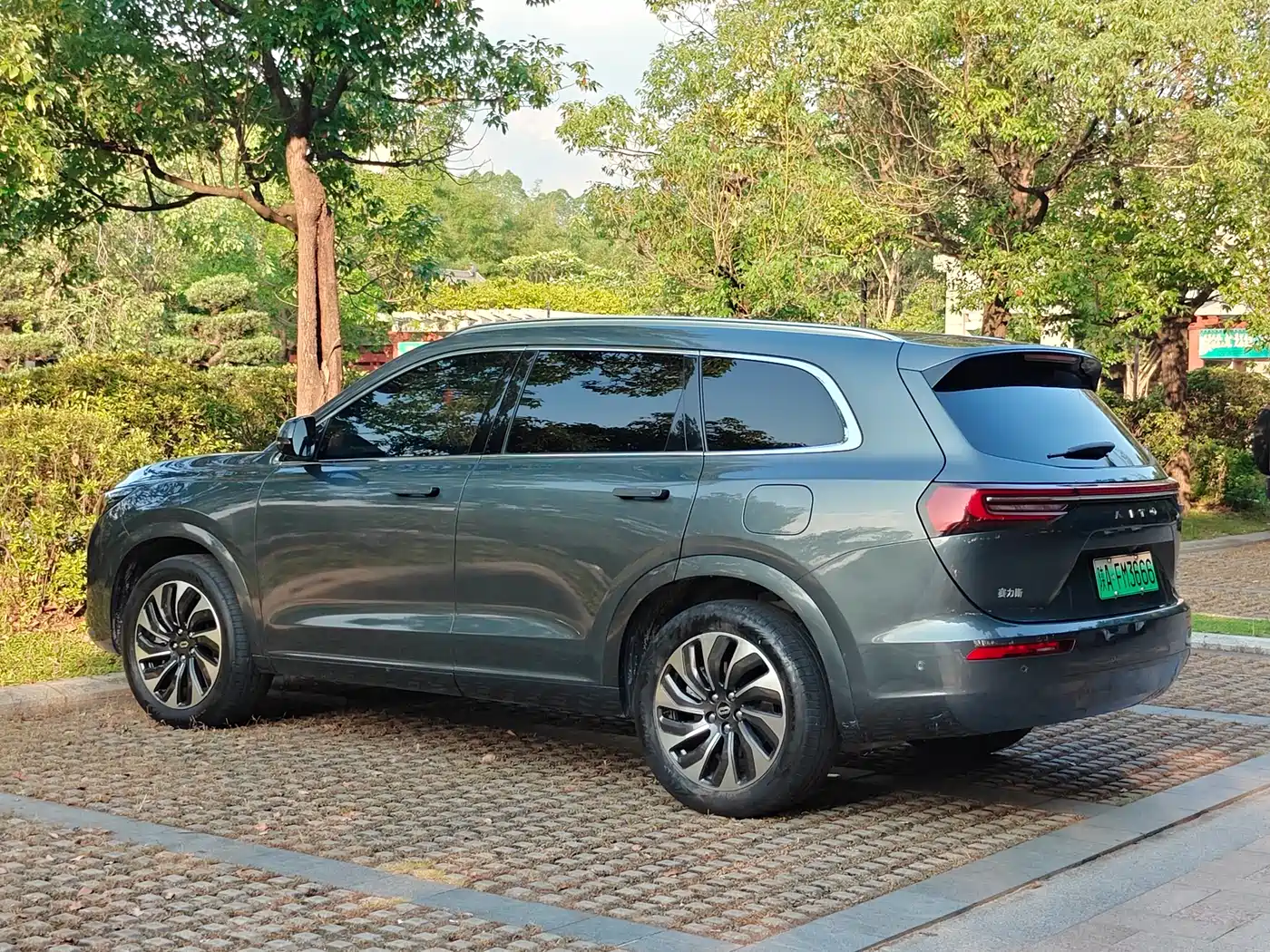 AITO Wenjie AITO M7 2022 1.5T AWD Luxury Edition фото 4