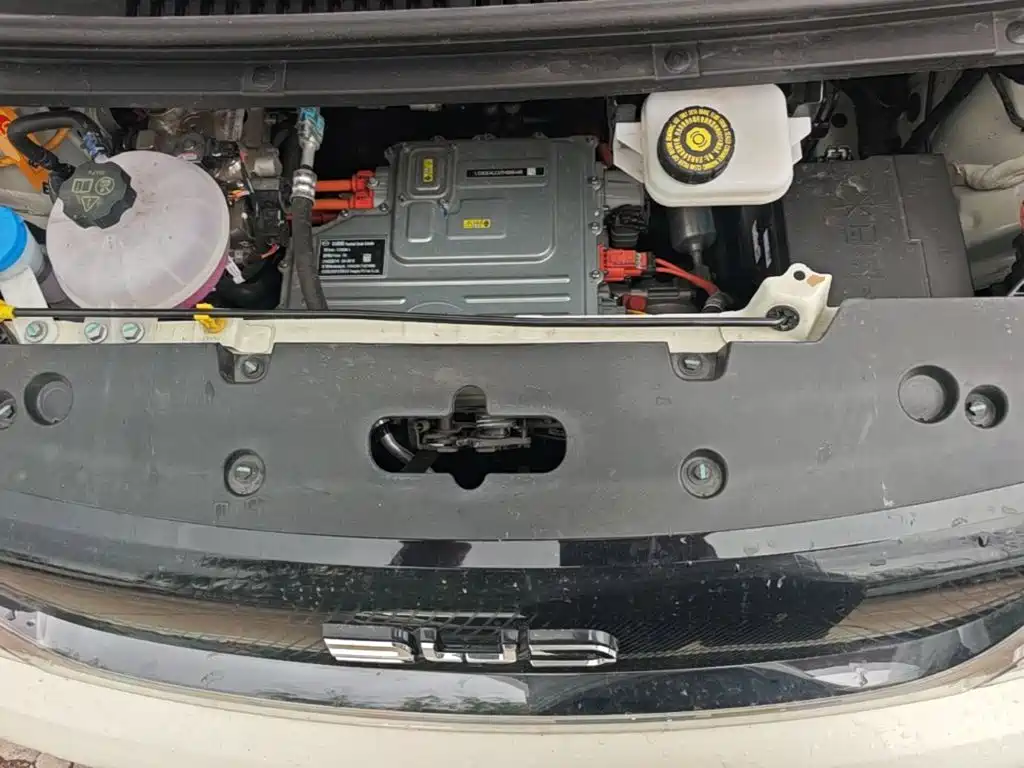 BYD Dolphin 2026 2025 420km Freedom Edition