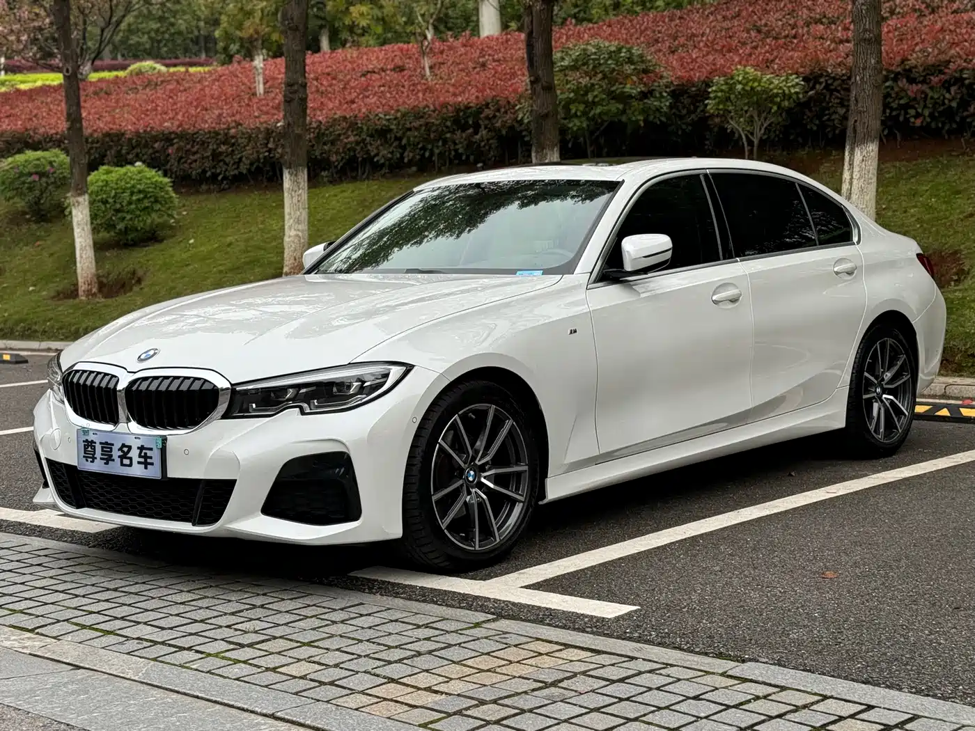 BMW 3 Series 2020 320Li M Sport Package