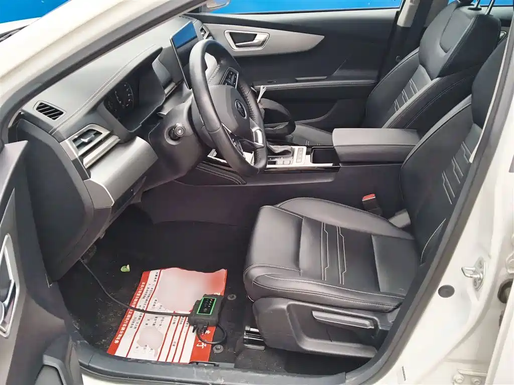 BYD Qin 2019 1.5L Automatic Prestige фото 11