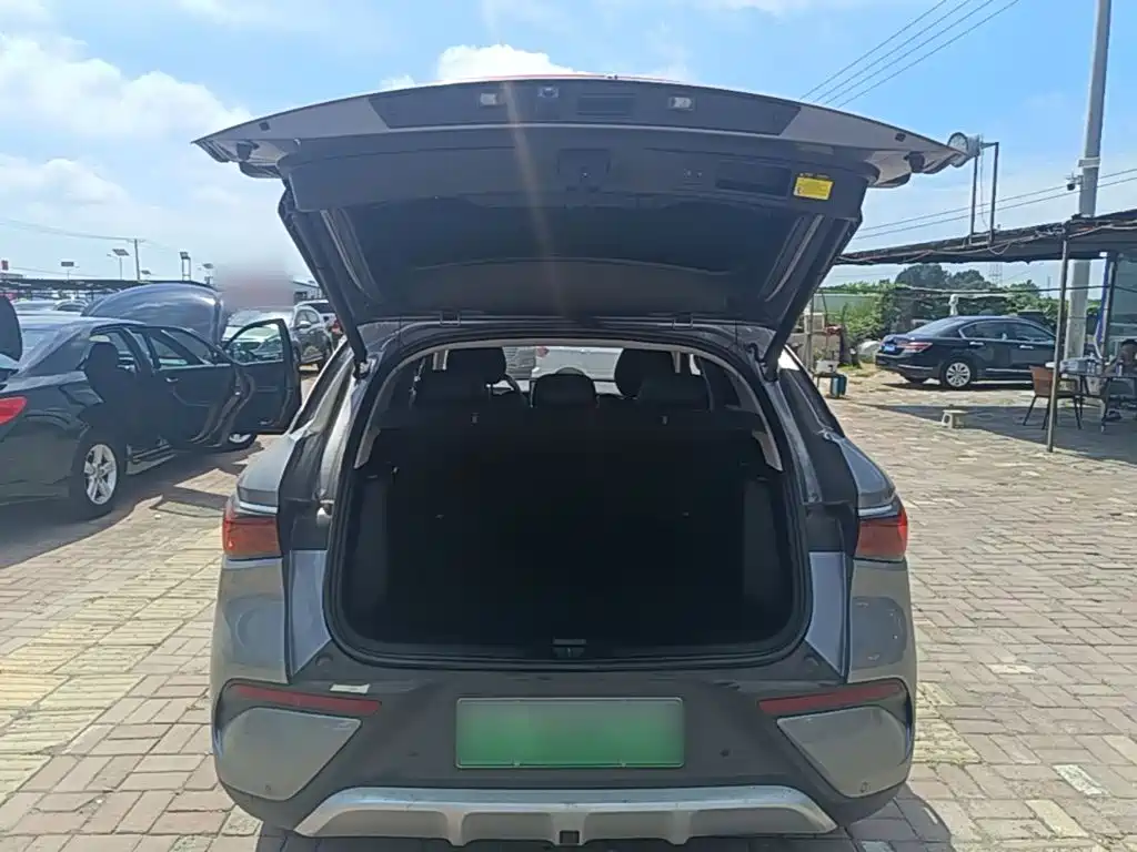 BYD Yuan PLUS 2025 2025 Smart Drive 510KM Excellence Edition