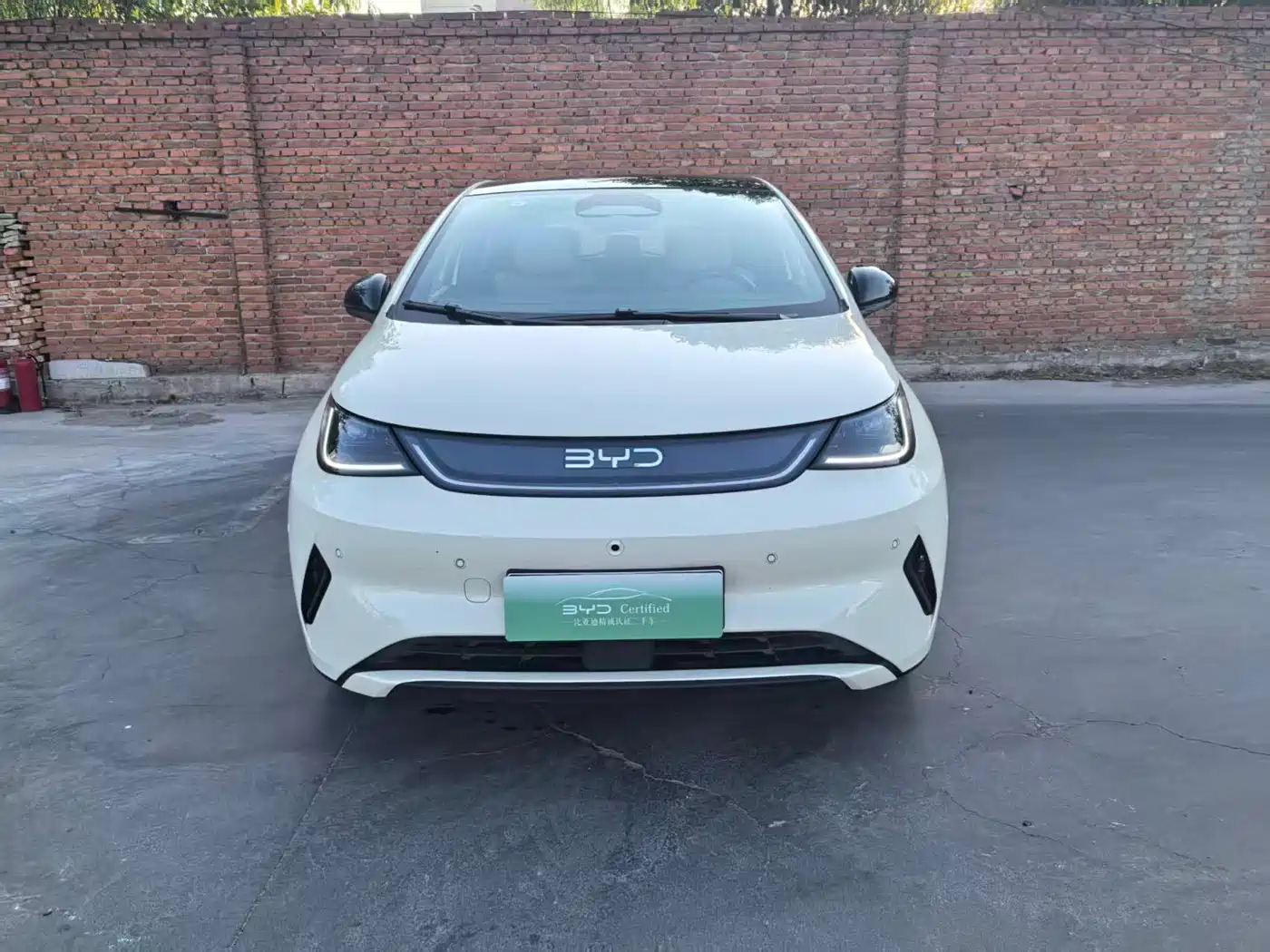 BYD Dolphin 2025 Smart Drive Edition 410km Fashion Version фото 2
