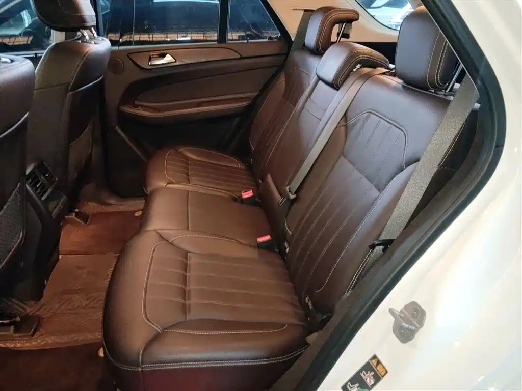 Mercedes-Benz GLE 2017 GLE 320 4MATIC Dynamic фото 17