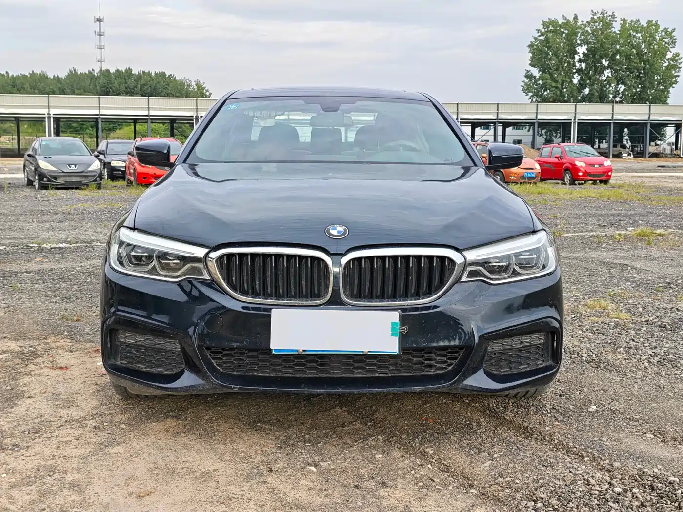 BMW 5 Series 2020 530Li Leading M Sport Package фото 2