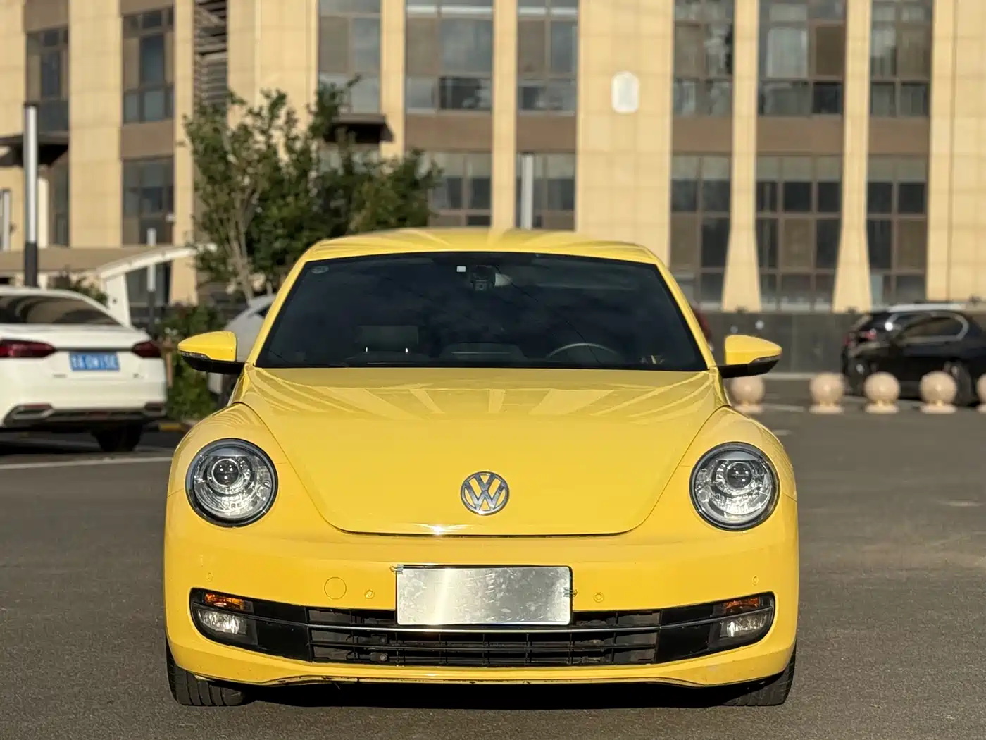 Volkswagen Beetle 2013 1.4TSI Fashion Edition фото 2